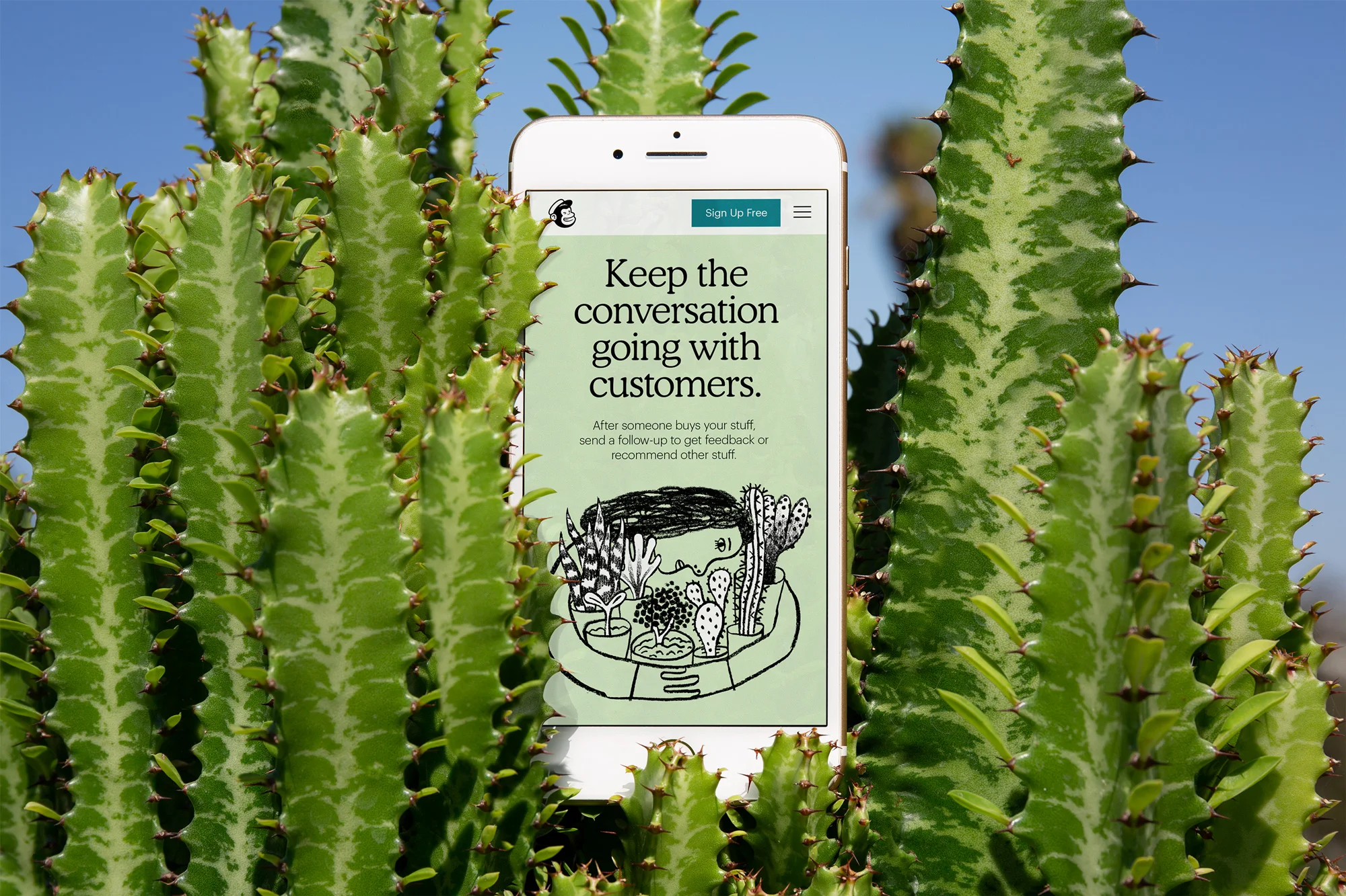 mailchimp_2018_website_cactus.jpg